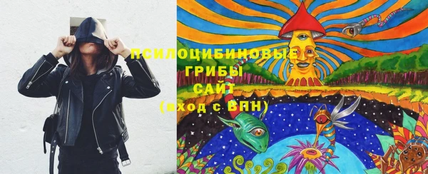 mdpv Фёдоровский