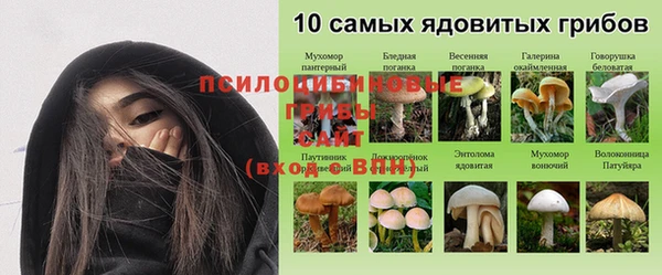 mdpv Фёдоровский