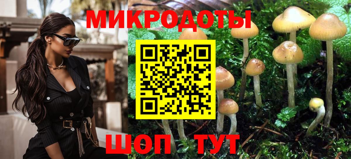 Галлюциногенные грибы Cubensis Пушкино