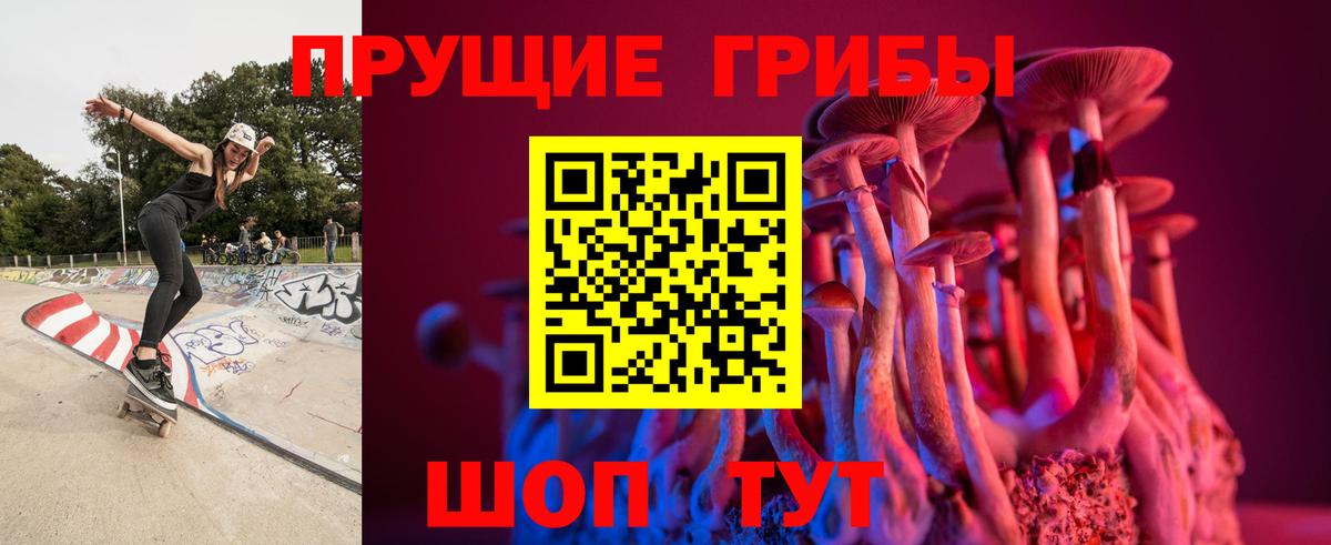 Пушкино  Псилоцибиновые грибы Psilocybine cubensis  Псилоцибиновые грибы мицелий  Вход с VPN 
